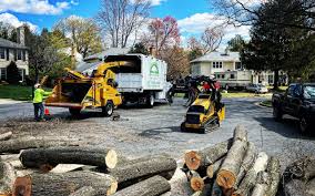 Leaf Removal in Smyrna, DE